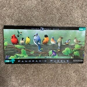 Songbirds Buffalo Games 750 Pc Panoramic Jigsaw Puzzle Complete 38x11" Hautman
